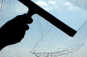 Window Cleaning Tips